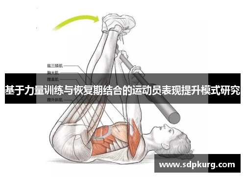 基于力量训练与恢复期结合的运动员表现提升模式研究