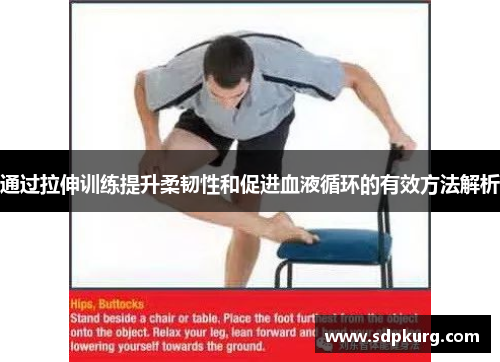 通过拉伸训练提升柔韧性和促进血液循环的有效方法解析