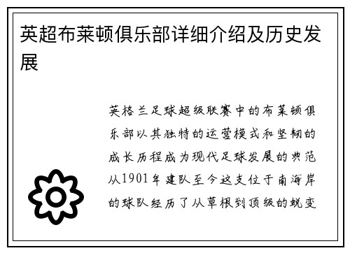 英超布莱顿俱乐部详细介绍及历史发展